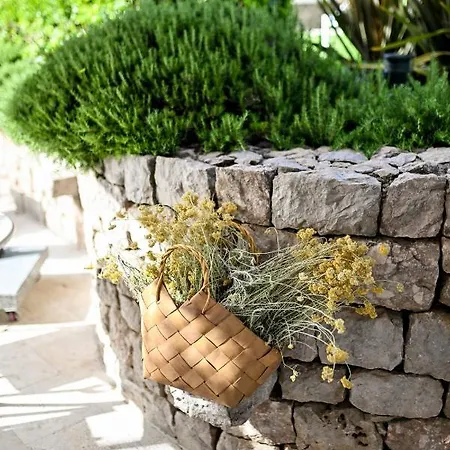 Hresc M 4* 扎达尔