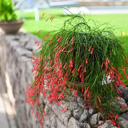 Hresc M בית הארחה