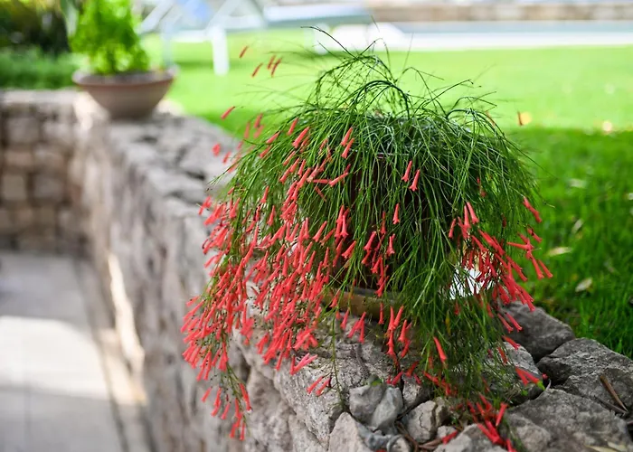 Hresc M Maison d'hôtes